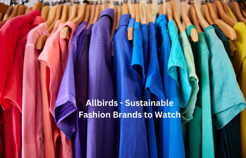 Allbirds - Sustainable Fashion Brands to Watch